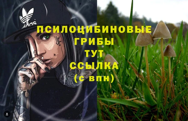 гашиш Кодинск