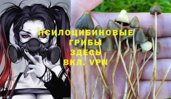 гашиш Кодинск