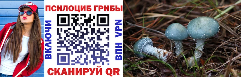 Псилоцибиновые грибы мухоморы  Купить  Гаджиево 